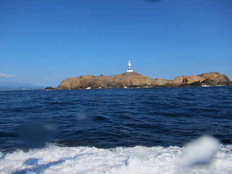 121110mikomoto4.jpg