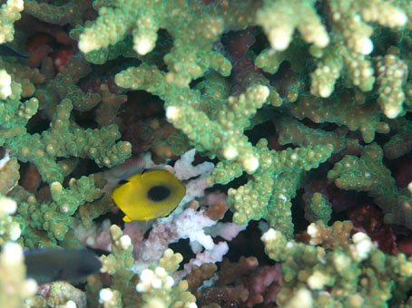 121201tago4.jpg