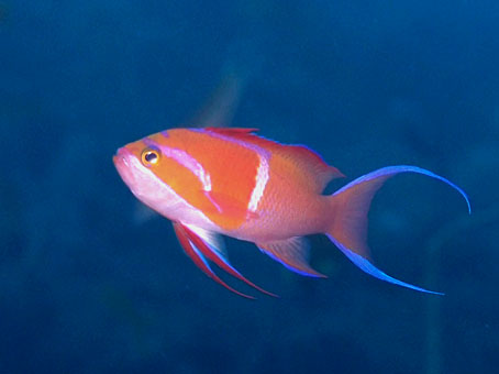 121202ose4.jpg