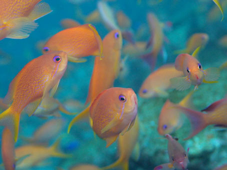 121202ose6.jpg
