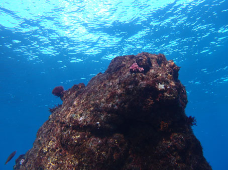 121211hokkawa2.jpg
