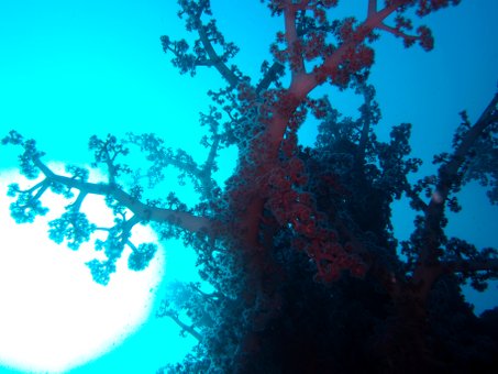 1228tago1.jpg
