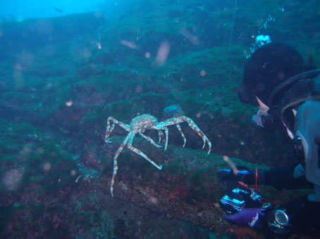 130114tago3.jpg