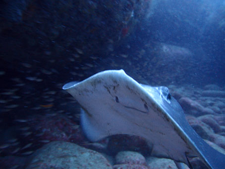 130325kumomi6.jpg