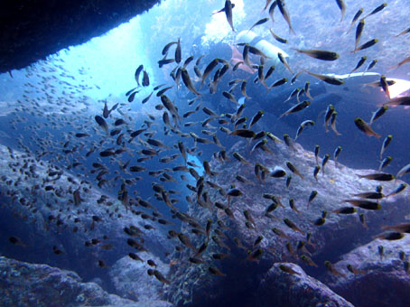 130429kumomi1.jpg