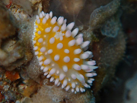 130429kumomi4.jpg