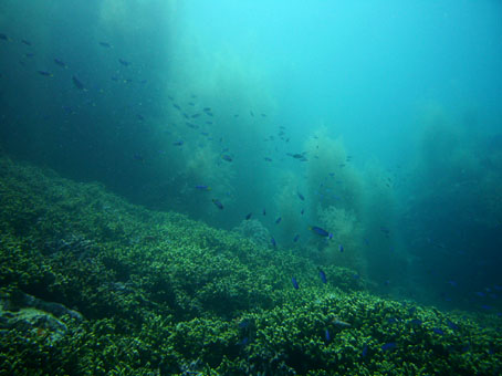 130525tago4.jpg