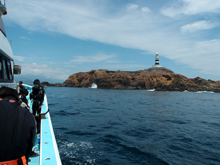 130629mikomoto1.jpg