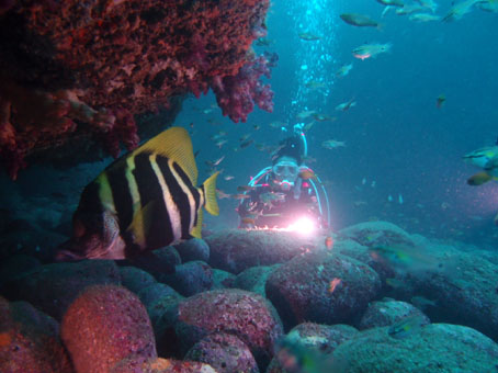 130706kumomi1.jpg