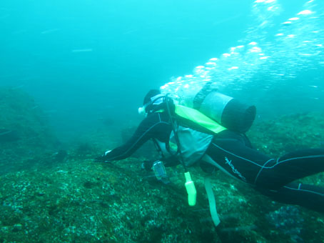 130825mikomoto4.jpg