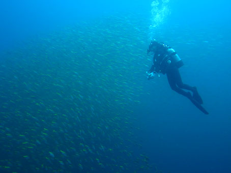 130902mikomoto6.jpg