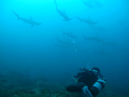 130902mikomoto8.jpg