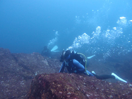 130908mikomoto1.jpg