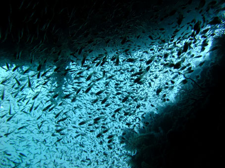 130909kumomi2.jpg