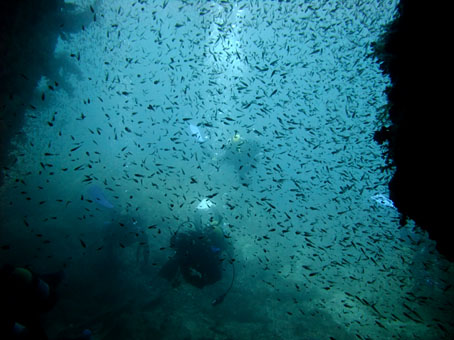 130909kumomi3.jpg
