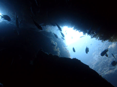 131031tago1.jpg