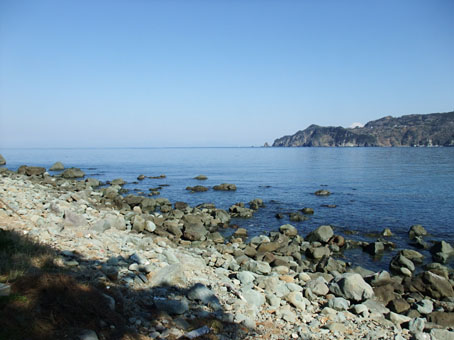 140324kogane2.jpg