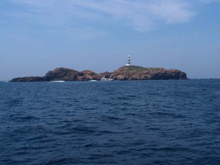 140503mikomoto1.jpg