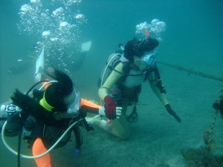 140806toi1.jpg