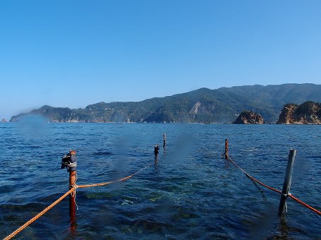 140929kogane1.jpg