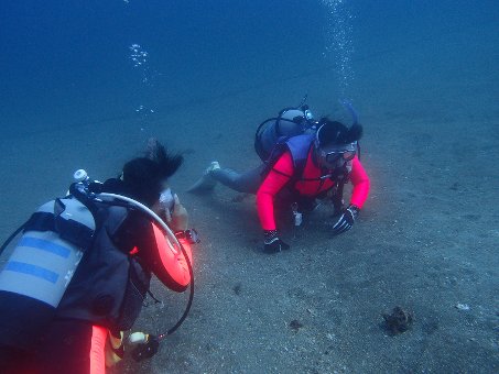 140929kogane7.jpg