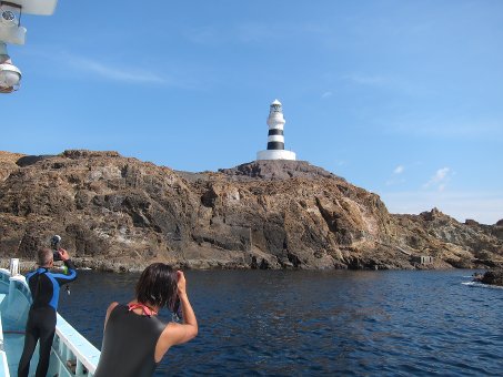 141020mikomoto1.jpg