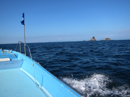 141028tago1.jpg
