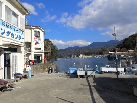 141029tago1.jpg