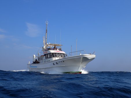 141109mikomoto1.jpg