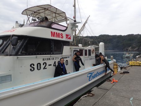 151031mikomoto01.jpg
