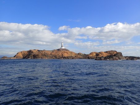 151111mikomoto01.jpg
