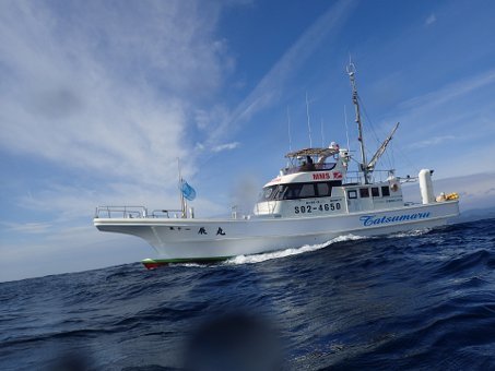 151117mikomoto01.jpg