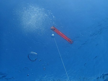 151117mikomoto02.jpg