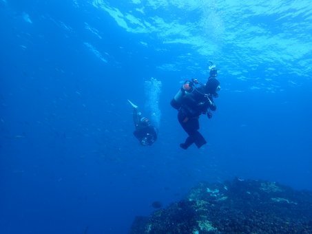 151121mikomoto06.jpg