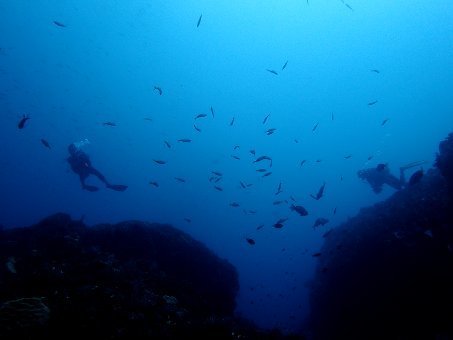 160508 mikomoto04.jpg