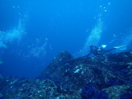 160528mikomoto03.jpg