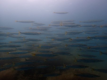 160606tago06.jpg