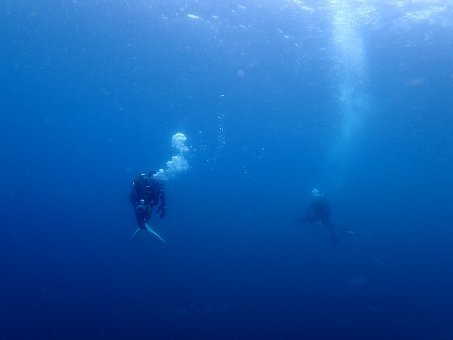 160709mikomoto06.jpg