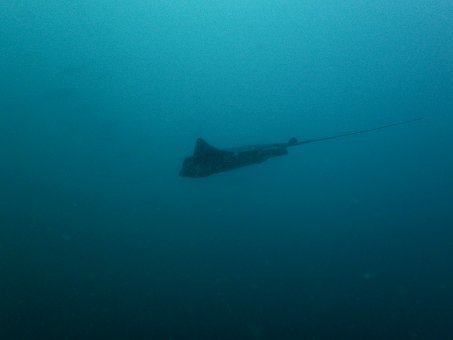 160804tago05.jpg