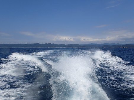 160812mikomoto01.jpg