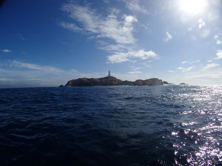 160821mikomoto01.jpg