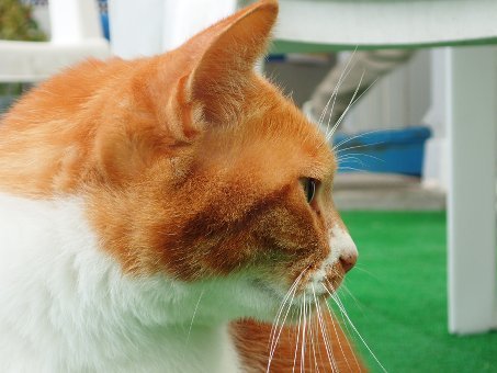 161102ito11.jpg