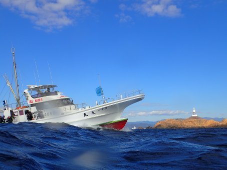 161112mikomoto08.jpg