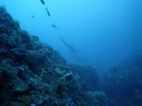 161128mikomoto04.jpg