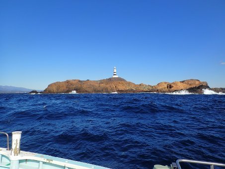 161228mikomoto04.jpg