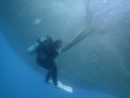 170103tago11.jpg