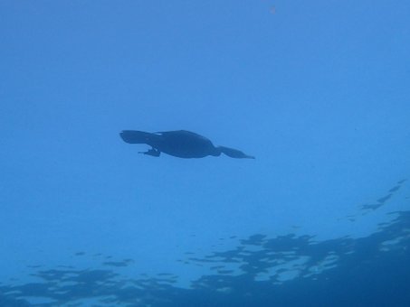 170103tago13.jpg