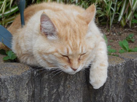 170502tago08.jpg