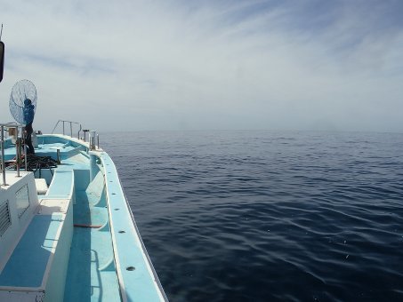 170503mikomoto01.jpg