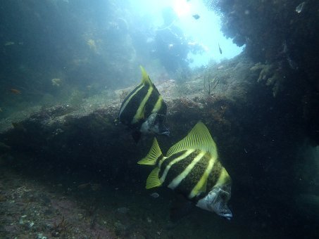 170521kumomi05.jpg